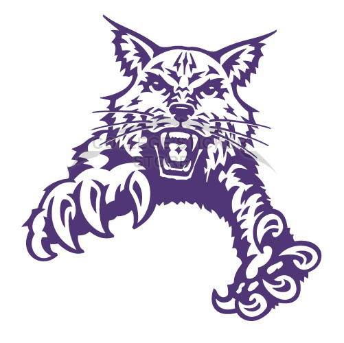 Customs Abilene Christian Wildcats 1997-2012 Partial Iron-on Transfers (Wall Stickers)NO.3677